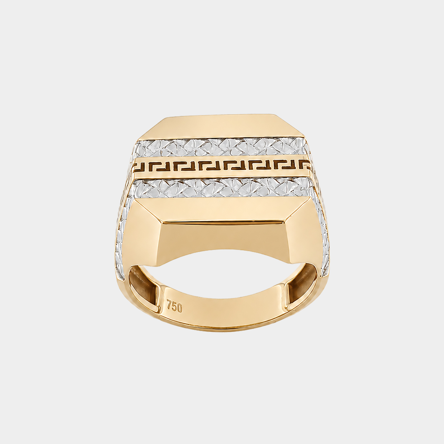RNG08097T