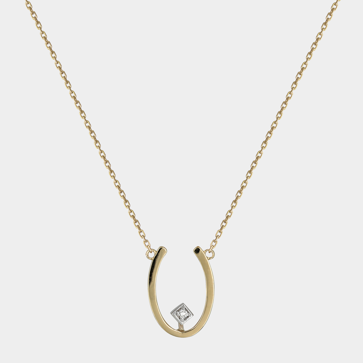 CHD01669T