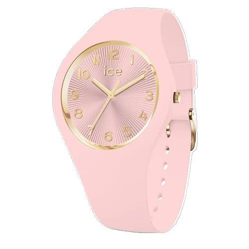 ICE WATCH